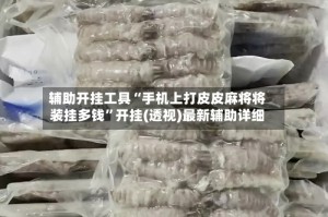 辅助开挂工具“手机上打皮皮麻将将装挂多钱”开挂(透视)最新辅助详细