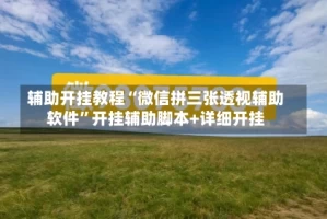 辅助开挂教程“微信拼三张透视辅助软件”开挂辅助脚本+详细开挂