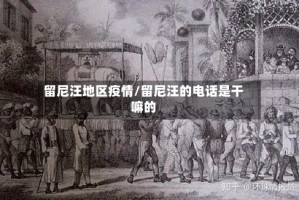 留尼汪地区疫情/留尼汪的电话是干嘛的