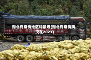 湖北有疫情地区吗最近(湖北有疫情吗现在2021)