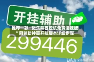 推荐一款“微乐陕西挖坑免费透视版”附辅助神器开挂脚本详细步骤