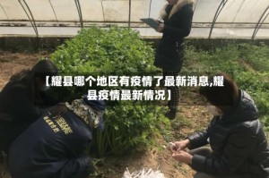 【耀县哪个地区有疫情了最新消息,耀县疫情最新情况】