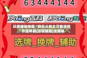 玩家辅助神器“微乐斗地主万能透视”开挂神器{透视辅助}全揭秘