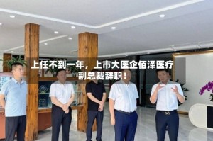 上任不到一年，上市大医企佰泽医疗副总裁辞职！