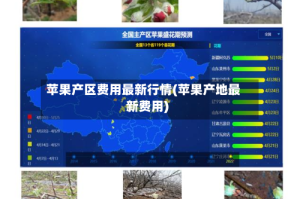 苹果产区费用最新行情(苹果产地最新费用)