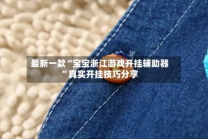 最新一款“宝宝浙江游戏开挂辅助器”真实开挂技巧分享