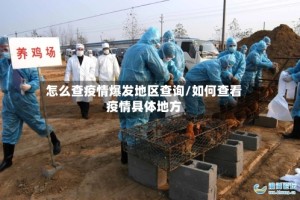 怎么查疫情爆发地区查询/如何查看疫情具体地方