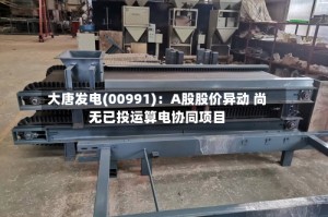 大唐发电(00991)：A股股价异动 尚无已投运算电协同项目