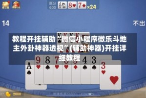 教程开挂辅助“微信小程序微乐斗地主外卦神器透视”(辅助神器)开挂详细教程