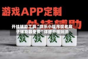 开挂辅助工具“微乐小程序捉老麻子辅助器免费”详细开挂玩法