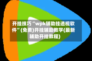 开挂技巧“wpk辅助挂透视软件”(免费)开挂辅助教学(最新辅助开挂教程)