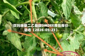 双吗啉基二乙基醚DMDEE商品报价动态（2026-05-23）