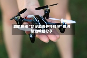 辅助神器“哈灵麻将开挂教程”详细辅助教程分享