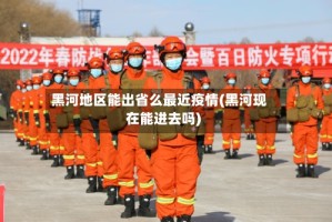 黑河地区能出省么最近疫情(黑河现在能进去吗)