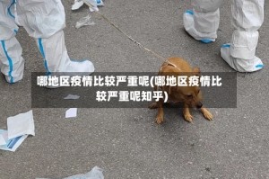哪地区疫情比较严重呢(哪地区疫情比较严重呢知乎)