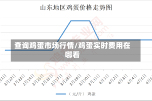 查询鸡蛋市场行情/鸡蛋实时费用在哪看