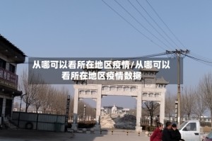 从哪可以看所在地区疫情/从哪可以看所在地区疫情数据