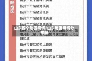 山东四个地区疫情/山东地区疫情分布图