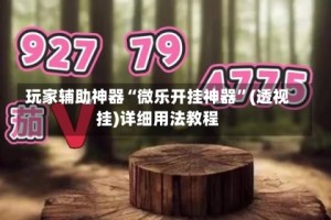 玩家辅助神器“微乐开挂神器”(透视挂)详细用法教程