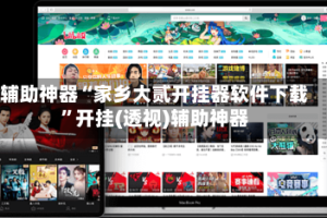 辅助神器“家乡大贰开挂器软件下载”开挂(透视)辅助神器