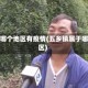 五乡哪个地区有疫情(五乡镇属于哪个区)