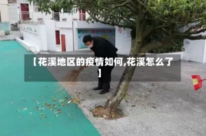 【花溪地区的疫情如何,花溪怎么了】