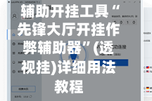 辅助开挂工具“先锋大厅开挂作弊辅助器”(透视挂)详细用法教程