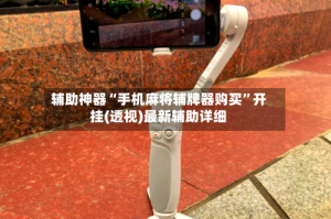 辅助神器“手机麻将辅牌器购买”开挂(透视)最新辅助详细