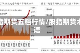 股指期货五档行情/股指期货术语