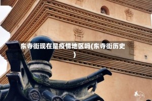 东寺街现在是疫情地区吗(东寺街历史)