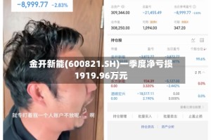 金开新能(600821.SH)一季度净亏损1919.96万元