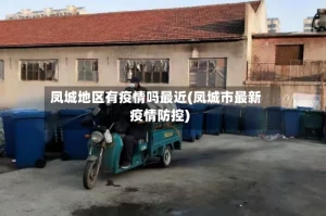 凤城地区有疫情吗最近(凤城市最新疫情防控)