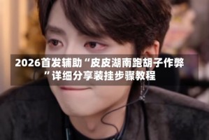 2026首发辅助“皮皮湖南跑胡子作弊”详细分享装挂步骤教程