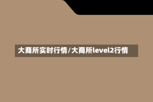大商所实时行情/大商所level2行情