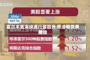 霍尔木兹海峡通行量回升 原油期货费用持稳