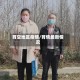 育空地区疫情/育情最新情况