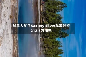 加拿大矿企Saxony Silver私募融资212.5万加元
