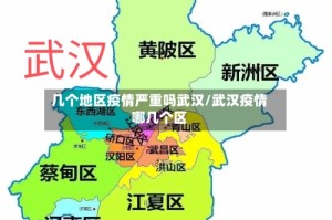 几个地区疫情严重吗武汉/武汉疫情哪几个区
