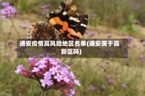 通安疫情高风险地区名单(通安属于高新区吗)