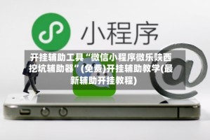 开挂辅助工具“微信小程序微乐陕西挖坑辅助器”(免费)开挂辅助教学(最新辅助开挂教程)