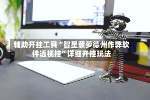 辅助开挂工具“智星菠萝德州作弊软件透视挂”详细开挂玩法