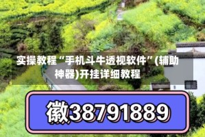 实操教程“手机斗牛透视软件”(辅助神器)开挂详细教程