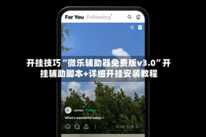 开挂技巧“微乐辅助器免费版v3.0”开挂辅助脚本+详细开挂安装教程