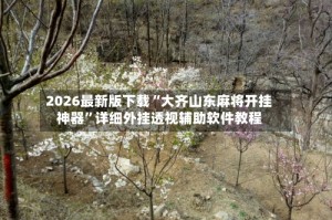 2026最新版下载“大齐山东麻将开挂神器”详细外挂透视辅助软件教程