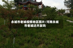 永城市老城疫情地区图片/河南永城市老城还开发吗