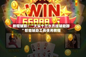 教程辅助！“大头十三水开挂辅助器”智能辅助工具使用教程