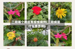 二阳哪个地区有疫情病例(二阳病是什么意思啊)
