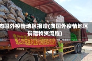 向国外疫情地区捐赠(向国外疫情地区捐赠物资流程)