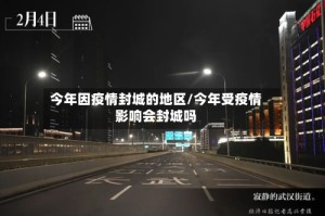 今年因疫情封城的地区/今年受疫情影响会封城吗