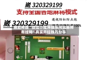 辅助神器“微信小程序微乐河北麻将有挂吗”真实开挂技巧分享